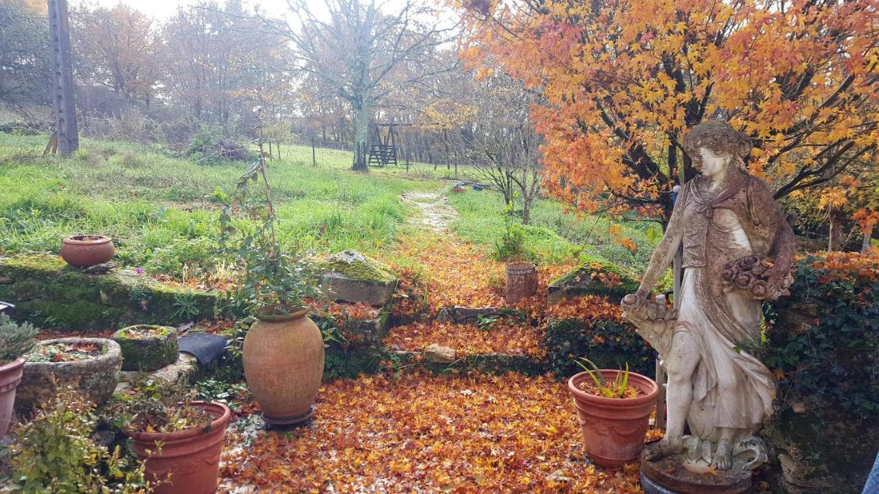 Aux Tuileries Nord Bed & Breakfast *